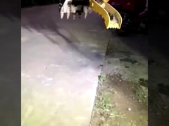 Fabrika özel yepyeni mini ekskavatör hidrolik tutma kovası satılıyor